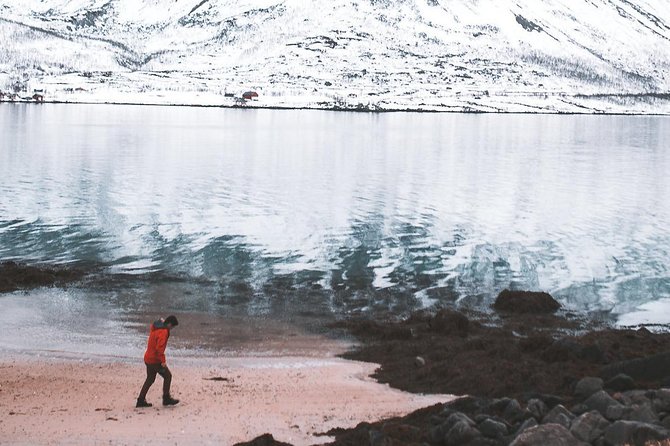 Arctic Fjord Sightseeing by Minibus - Ersfjord: a first taste of Arctic fjord country