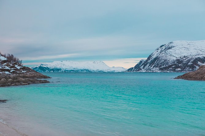 Arctic Fjord Sightseeing by Minibus - Warm clothing, bus comfort, and the cold-weather details