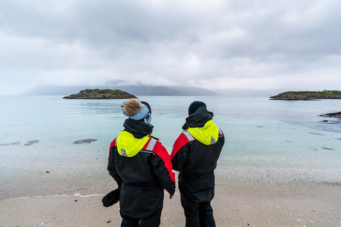 Arctic Fjord Sightseeing by Minibus - Is $136.99 a fair price?