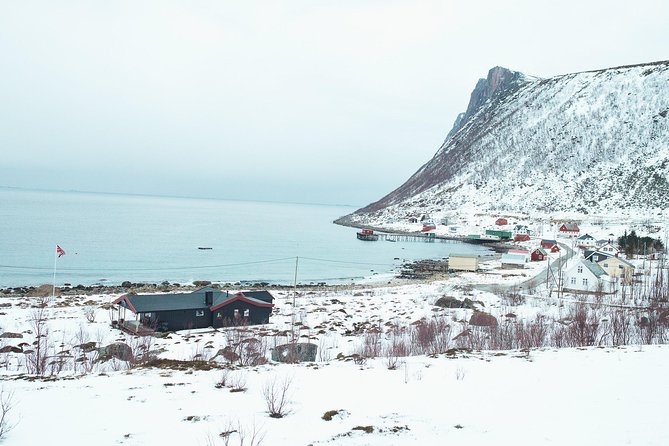 Arctic Fjord Sightseeing by Minibus - Should you book Arctic Fjord Sightseeing?