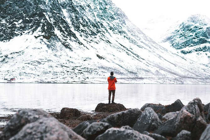 Arctic Fjord Sightseeing by Minibus - Sommarøy and the Arctic beach