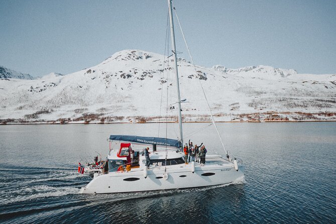 Arctic Fjordcruise & Safari in Tromso with Luxury Catamaran - A three-hour view of Tromsø from the water