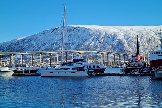 Arctic Fjordcruise & Safari in Tromso with Luxury Catamaran - Fjellheisen and the view back toward Tromsø