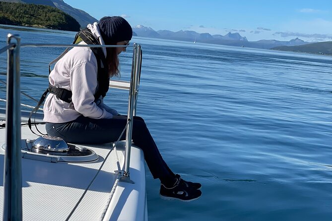 Arctic Fjordcruise & Safari in Tromso with Luxury Catamaran - WWII stories and the Tirpitz