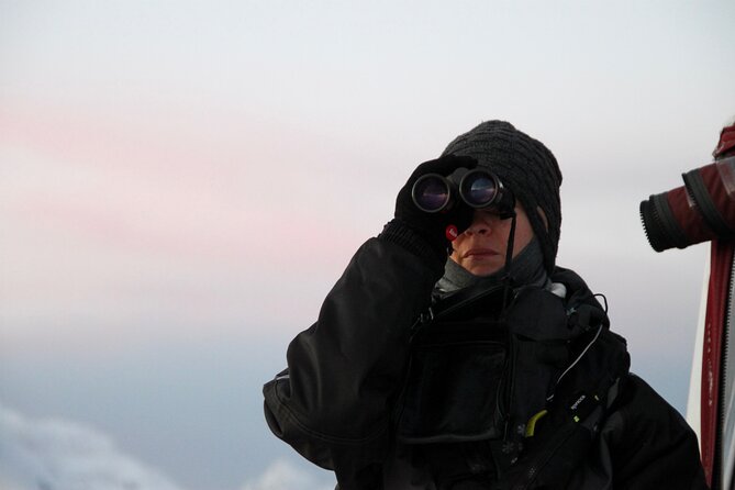 Arctic Fjordcruise & Safari in Tromso with Luxury Catamaran - Comfort on a luxury catamaran