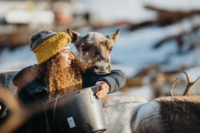 Arctic Fjords and Reindeer Experience – Small group tour - Why the reindeer visit feels more personal