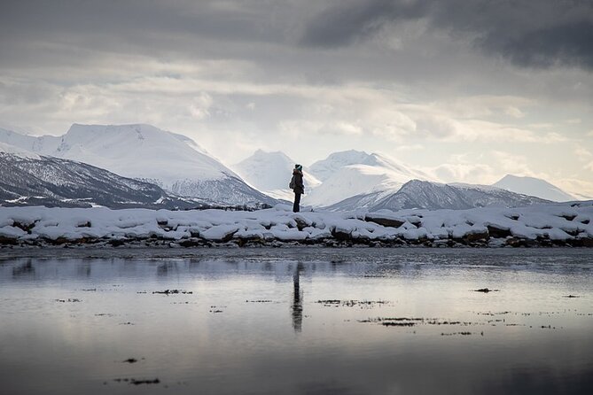 Arctic Landscapes Hiking, Sightseeing & Snowshoeing Private Tour - Key points before you book