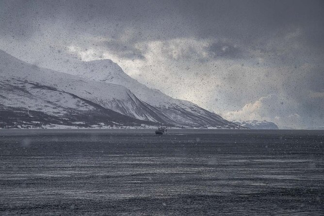 Arctic Landscapes Hiking, Sightseeing & Snowshoeing Private Tour - A guide who keeps the day personal