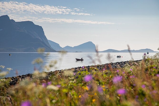 Arctic Landscapes Hiking, Sightseeing & Snowshoeing Private Tour - What can go wrong, and how to prepare