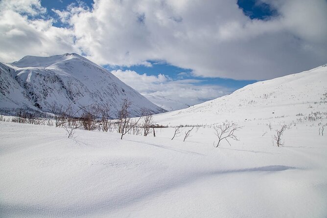 Arctic Landscapes Hiking, Sightseeing & Snowshoeing Private Tour - Who will get the most from this private outing