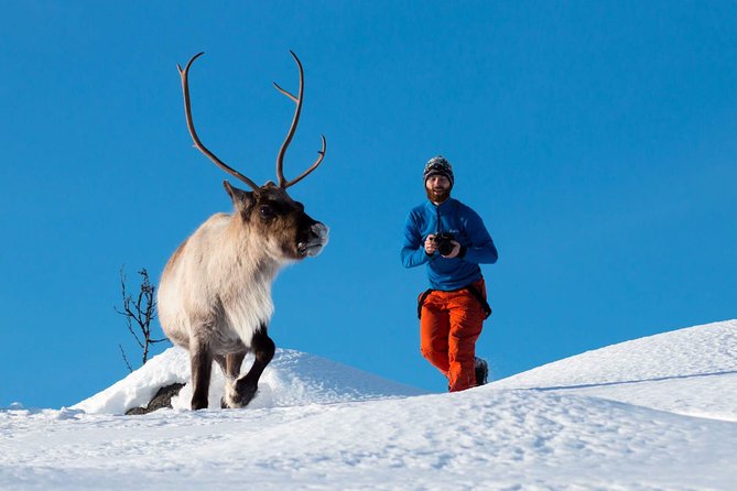 Arctic Nature Photography Sightseeing Tour from Tromso - Key points to know before booking