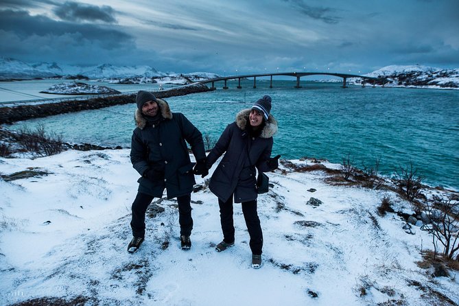 Arctic Nature Photography Sightseeing Tour from Tromso - Wildlife: possible, memorable, and never certain