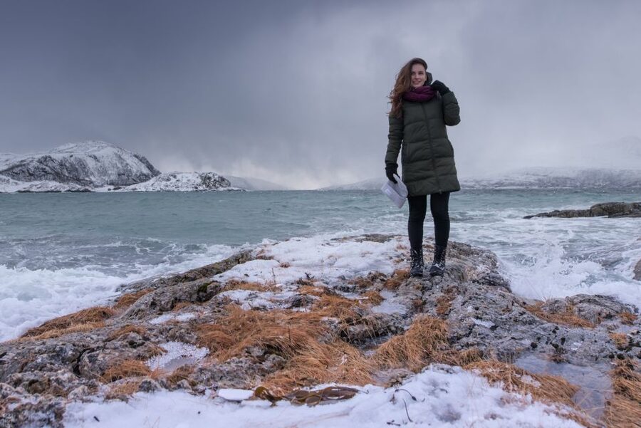 Arctic Nature Tour from Tromsø - Who should book this Kvaløya tour?
