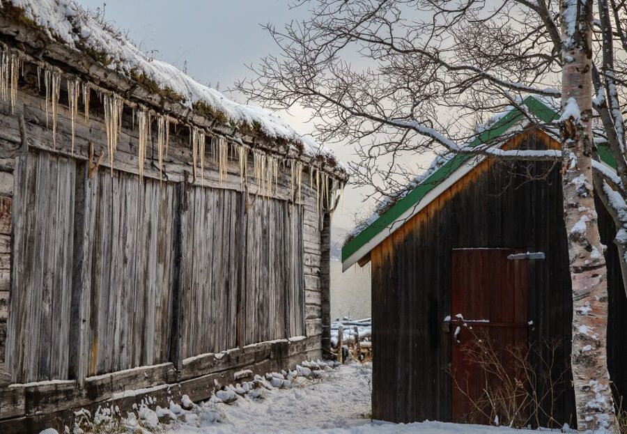 Arctic Nature Tour from Tromsø - Why Kvaløya makes a fine half-day outing