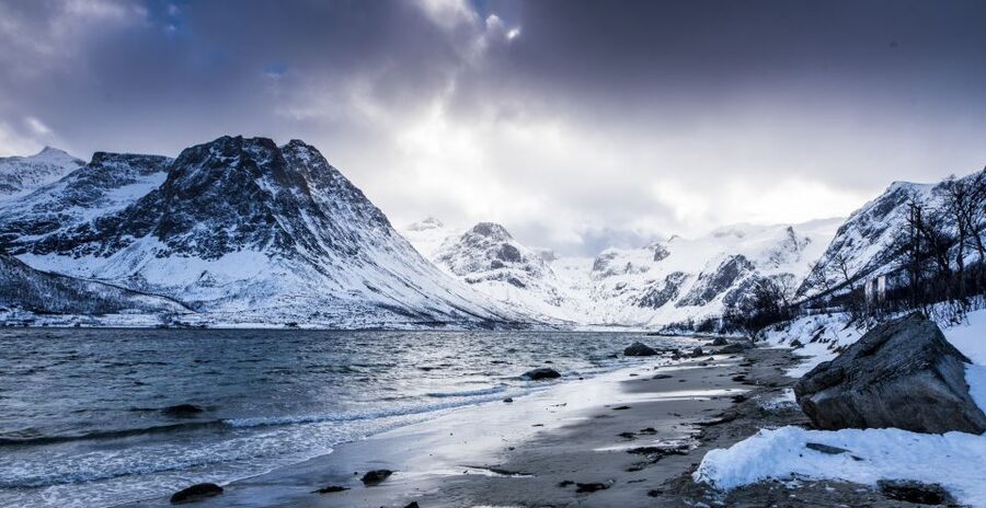 Arctic Nature Tour from Tromsø - Wildlife watching around Kvaløya