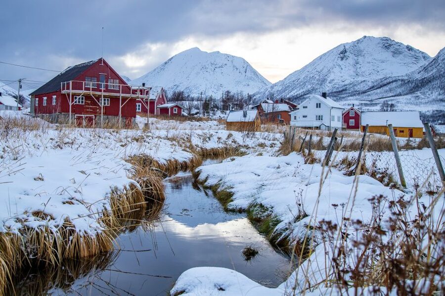 Arctic Nature Tour from Tromsø - Warm clothes, pastries, and a proper Arctic pause