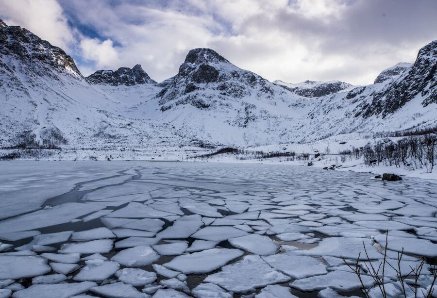 Arctic Nature Tour from Tromsø - How the guides shape the experience