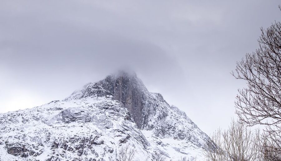 Arctic Nature Tour from Tromsø - Price and what you receive for $142