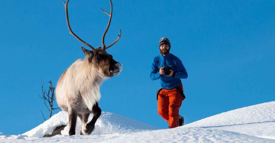 Arctic Nature Tour from Tromsø - Practical details that affect your choice