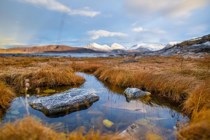 Arctic Nature Tour from Tromsø by minibus - Photography is a major part of the tour