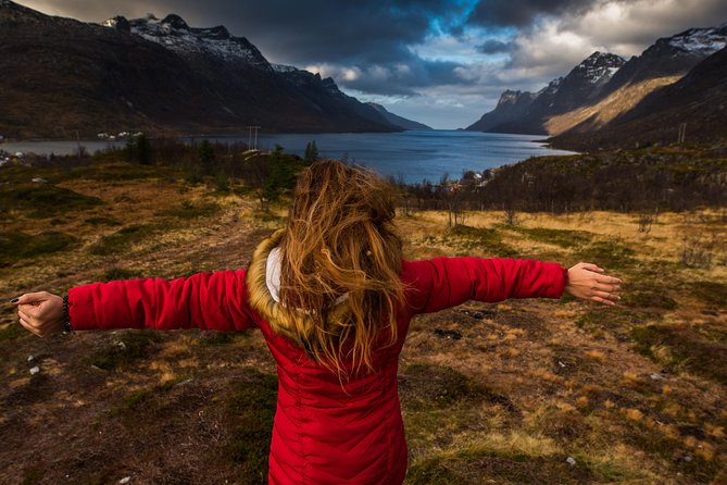 Arctic Nature Tour from Tromsø by minibus - Is the $156.55 price fair?