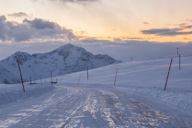 Arctic Nature Tour from Tromsø by minibus - Who will enjoy this Arctic outing?