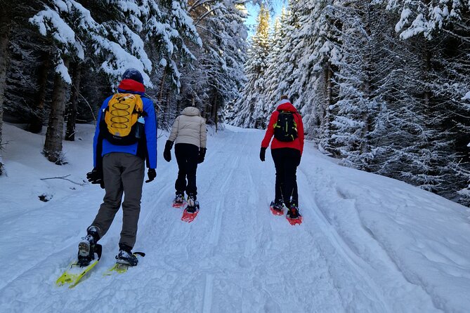 Arctic Snowshoe Hike in Norway - Snowshoes, poles, and the rhythm of the walk