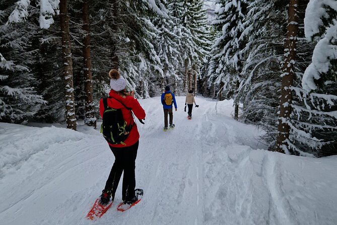 Arctic Snowshoe Hike in Norway - Guides who watch the details