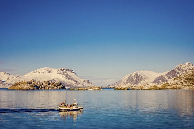 Arctic Wildlife and Fjord Sightseeing - A comfortable ride with room for questions