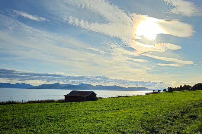 Arctic Wildlife and Fjord Sightseeing - Crossing Sommarøybrua to the Norwegian Caribbean