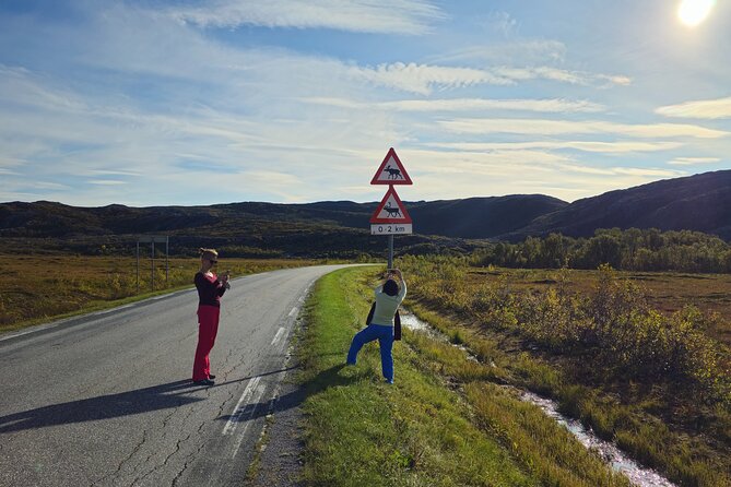 Arctic Wildlife and Fjord Sightseeing - Brensholmen and the less obvious return route