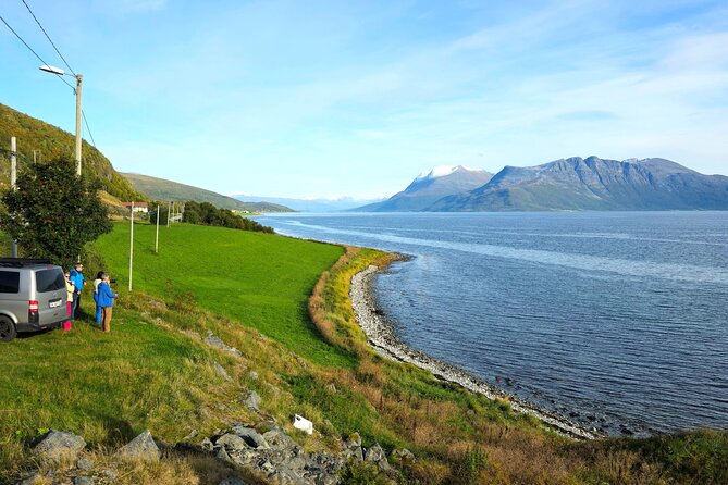 Arctic Wildlife and Fjord Sightseeing - Wildlife expectations: keep them realistic
