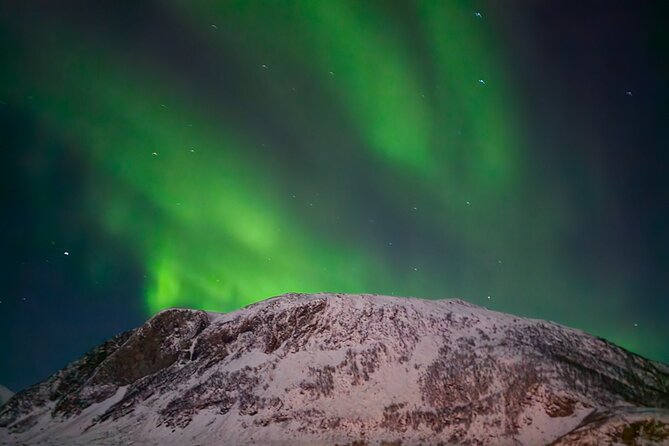 AURORA DAİLY Northern Lights Safari Tour 8 Guests with PİCKUP - Guides, languages, and the personal feel