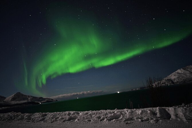 AURORA DAİLY Northern Lights Safari Tour 8 Guests with PİCKUP - Timing, weather, and booking details