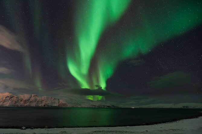 Aurora Hunt with Professional Photographer from Alta - Why this Alta Aurora hunt feels different