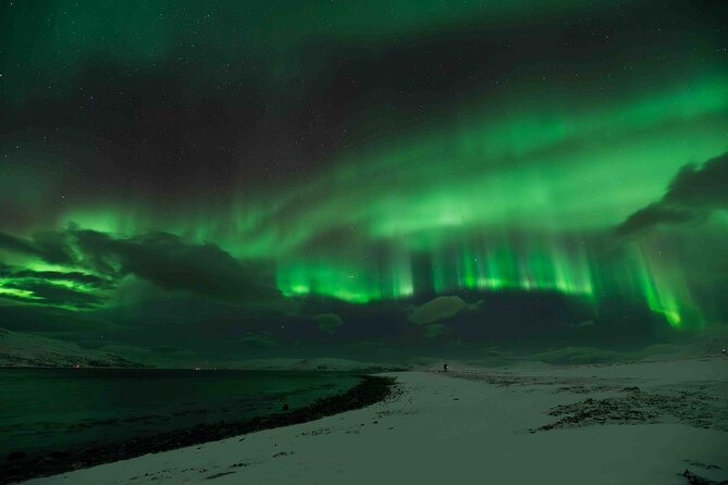 Aurora Hunt with Professional Photographer from Alta - Who will get the most from this tour