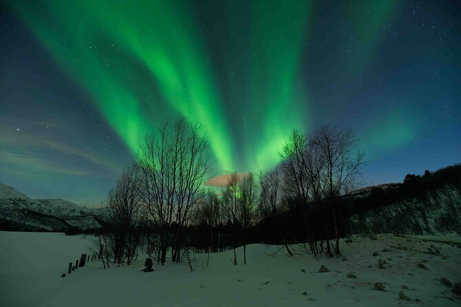 Aurora Hunt with Professional Photographer from Alta - Price, cancellation, and practical value