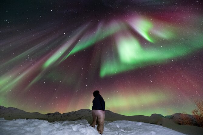 Aurora Hunt with Professional Photographer from Alta - Starting at Løkkeveien 51 in Alta