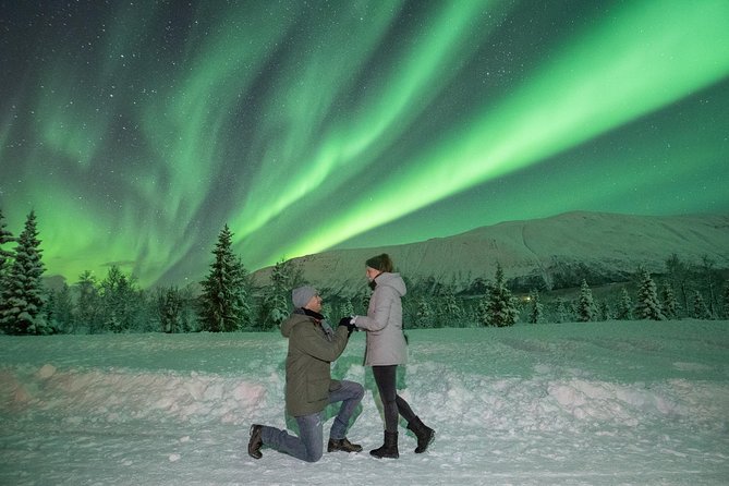 Aurora Safari Chase by big bus, free Photos, toilet onboard - What this Tromsø Northern Lights tour is really like