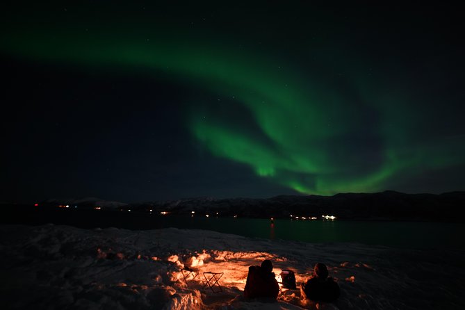 Aurora tour with free portrait and bonfire - Bonfire, cinnamon cake, and Arctic snacks