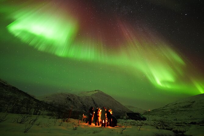 Aurora tour with free portrait and bonfire - Price, group size, and value