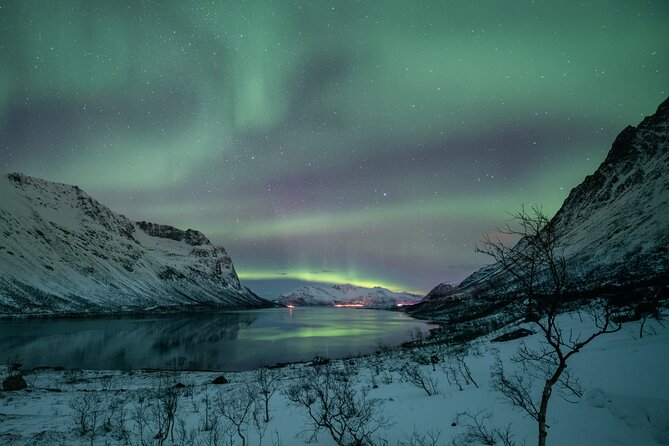 Auroras Hunt - Tour in Spanish, Northern Lights Chase in Spanish - Chasing clear skies instead of waiting in one place