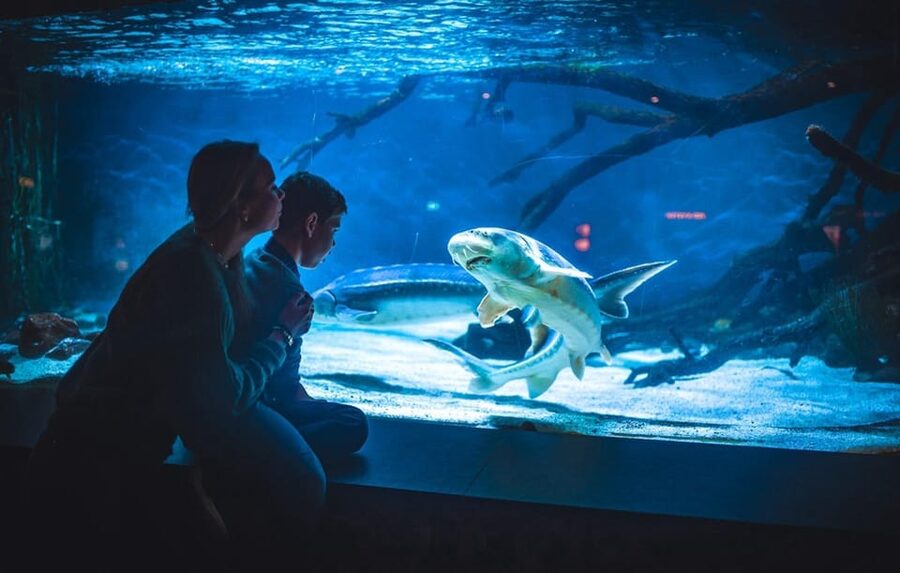 Bergen: Bergen Aquarium Entry Ticket - Penguins and Sea Lions Set the Tone