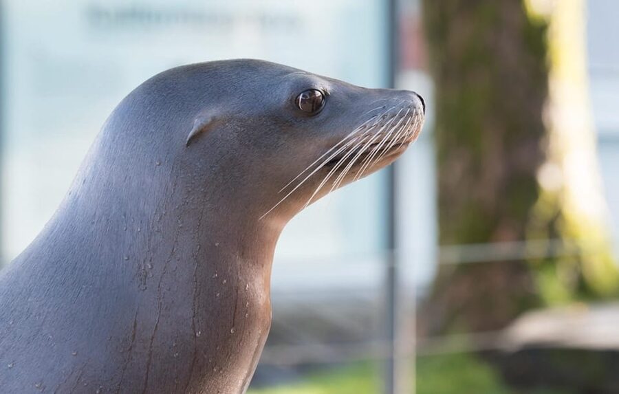 Bergen: Bergen Aquarium Entry Ticket - Crocodiles, Otters, Snakes, and Geckos