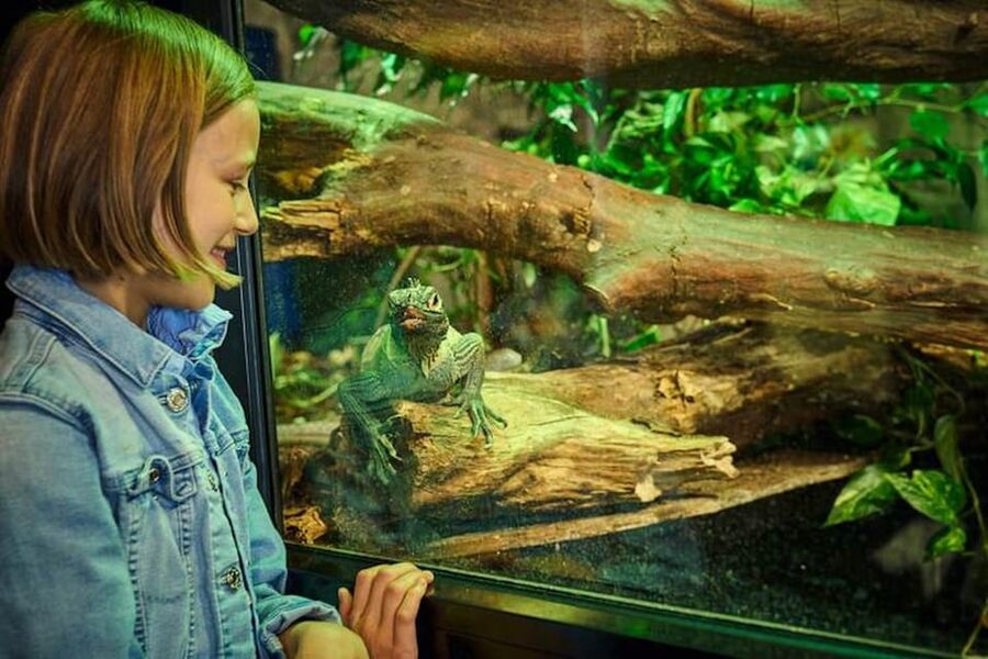 Bergen: Bergen Aquarium Entry Ticket - Should You Book Bergen Aquarium?