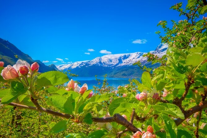 Bergen Beyond Day trip - The Hardangerfjord return adds variety