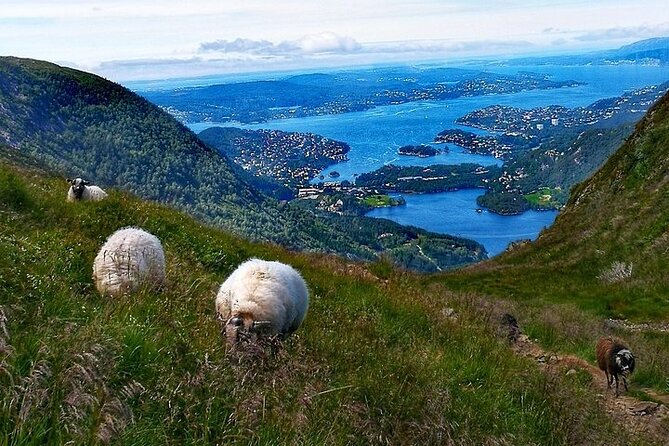 Bergen Classic Private hiking - Is $992.48 good value for four people?