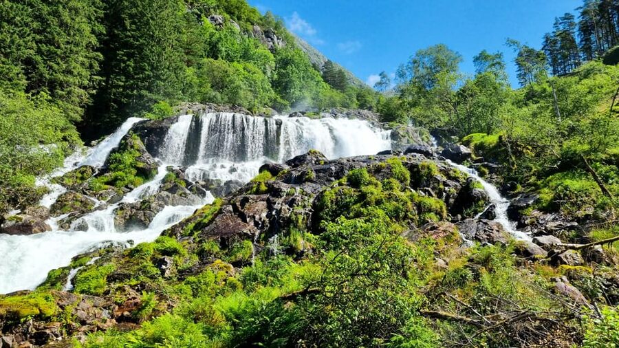 Bergen: Cruise to beautiful Rosendal by the Hardangerfjord - Rosendal: a small village with a big setting