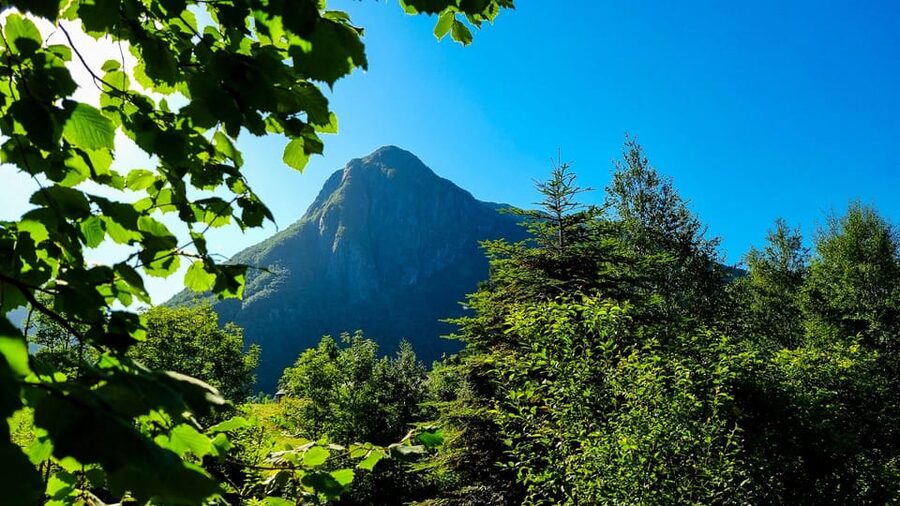 Bergen: Cruise to beautiful Rosendal by the Hardangerfjord - Comfort, access, and what to bring