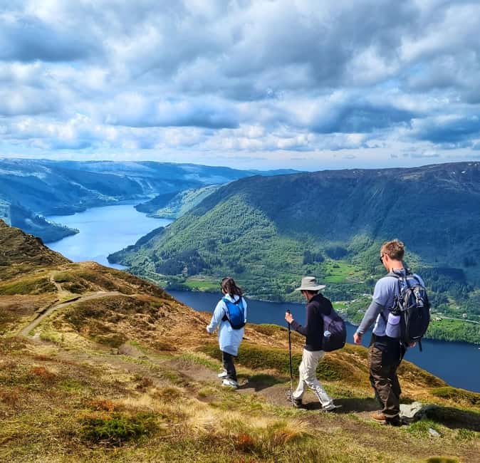 Bergen: Fjord Hiking - Public tour - Choosing the mountain for the day